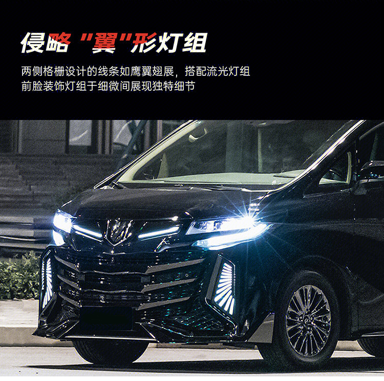 Toyota Alphard 30 Cyber Century Facelift Body Kit
